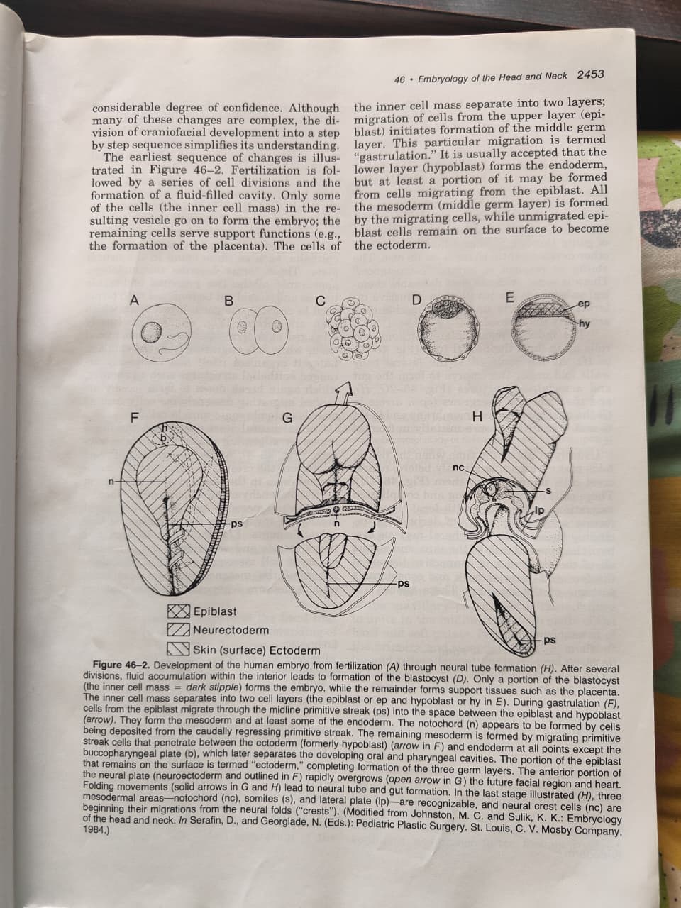 Figure 46-2 - Gastrulation and Germ Layer Formation